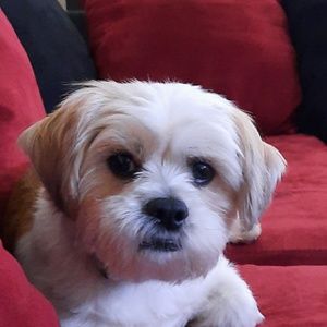 Meet your Posher, Jon